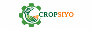 Cropsiyo Logo